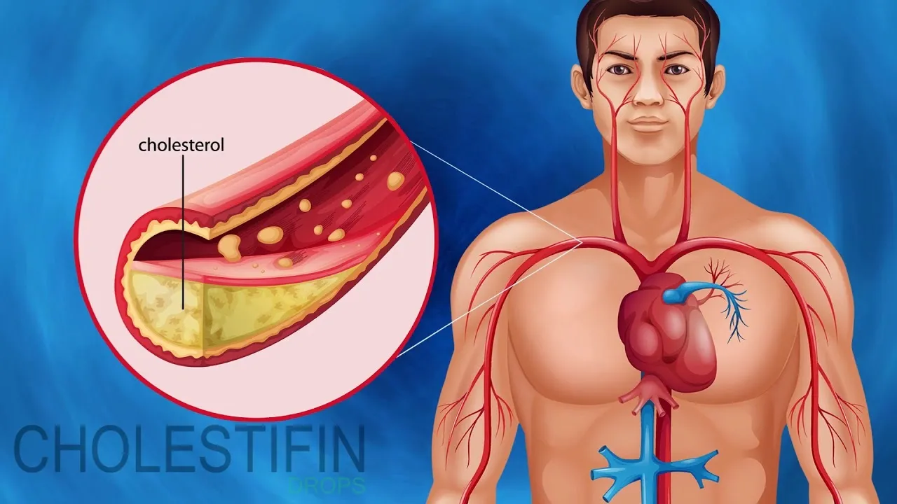 Cardione : Zusammensetzung nur natürliche Zutaten